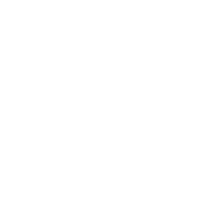 Crown-and-Bridge-icon